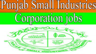 Punjab Small Industries Company