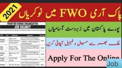 Latest jobs Frontier Works Organization FWO