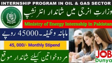 Pakistan Government Jobs Ministry of Energy Petroleum