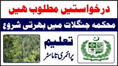 Latest jobs Forestry Environment and Wildlife Department