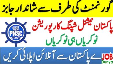 Pakistan Government Jobs Pakistan National Shipping Corporation