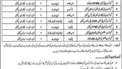 Pakistan Government Jobs District Education Authority