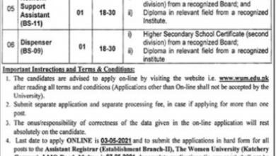 Pakistan Government Jobs The Women University Multan