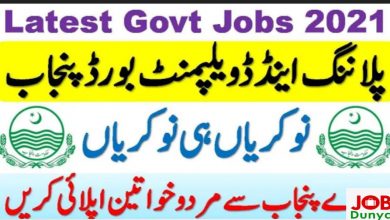 Pakistan Government Jobs Planning and Development