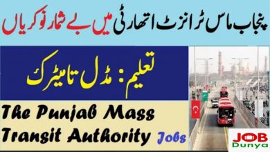 Latest govt jobs Punjab Masstransit Authority PMA