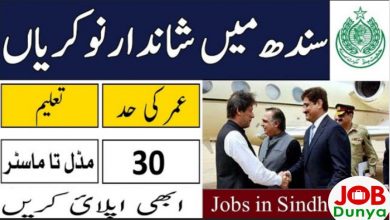 Latest govt jobs Irrigation Department Govt of Sindh