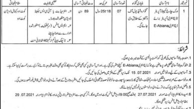 Latest govt jobs Irrigation Department Govt of the Punjab