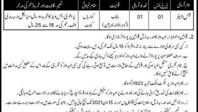 Latest govt jobs Pakistan Army