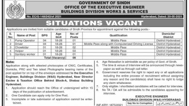 Latest govt jobs Provincial Buildings Division