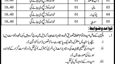 Latest govt jobs School Education and Literacy Department Sindh