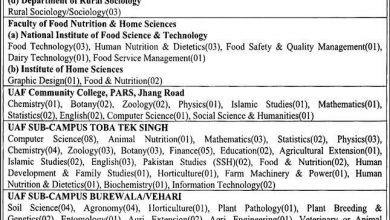 Latest govt jobs University of Agriculture Faisalabad