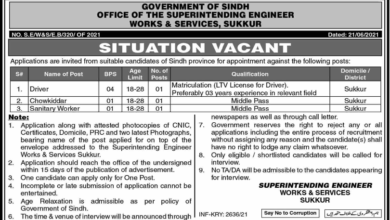 Latest govt jobs Works and Services Department