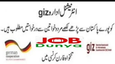 Latest jobs Giz German Society for International Cooperation