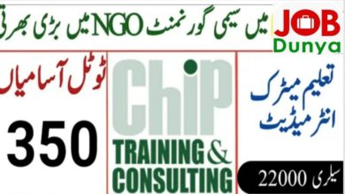 Latest govt jobs CHIP Training and Consulting