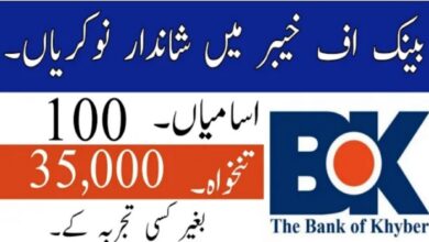 Latest govt jobs The Bank of Khyber