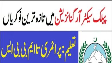 Latest jobs Naib Qasid Public Sector Organization