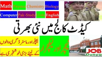 Latest govt jobs today Cadet College