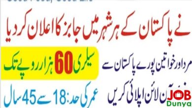 Latest govt jobs Millat Industrial Products Ltd