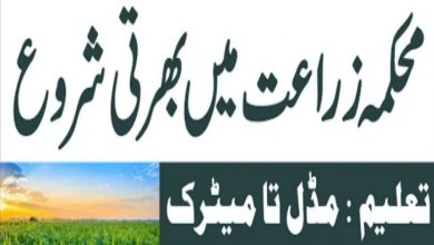 Latest govt jobs Ayub Agriculture Research Institute