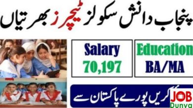 Jobs in Daanish schools govt of Punjab