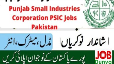 Govt jobs Punjab Small Industries Corporation