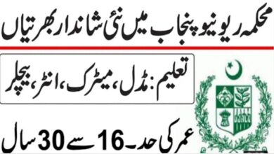 Revenue department jobs application form 2021