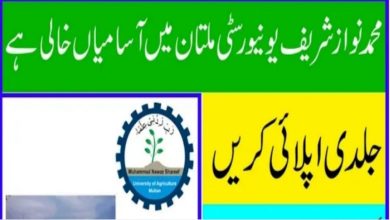 Latest govt jobs Nawaz Sharif University of Agriculture