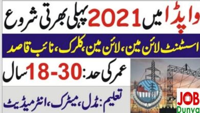 Latest govt jobs WAPDA