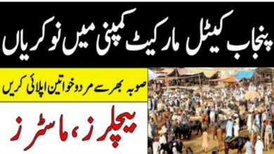 Latest govt jobs Cattle Market Management Company