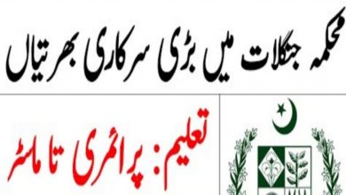 Punjab Forest Department govt jobs