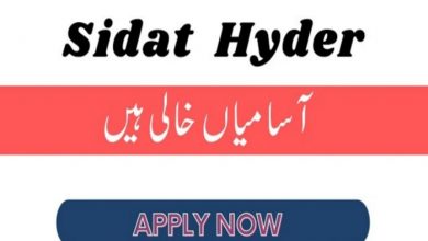 Sidat Hyder Morshed associates jobs