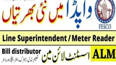 WAPDA Engineering Academy govt jobs