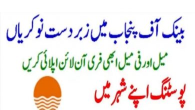 The Bank of Punjab BOP govt jobs