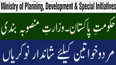 Ministry of Planning Development and Special Initiative jobs