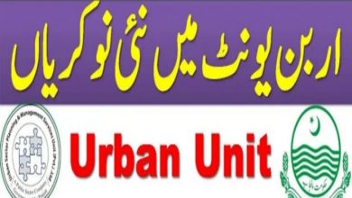 The Urban Unit govt jobs