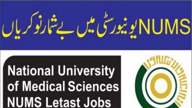 National University of Medical Sciences govt jobs