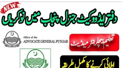 Advocate General Punjab govt jobs