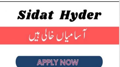 Sidat Hyder Jobs 2021