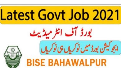 Board Of Intermediate Secondary Education Bahawalpur jobs