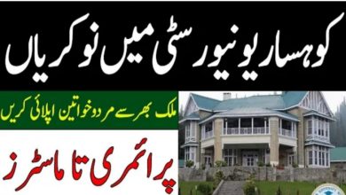 Lawrence College Murree Jobs 2021