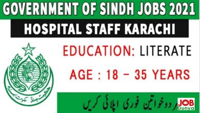 Latest jobs Health Department Govt of Sindh