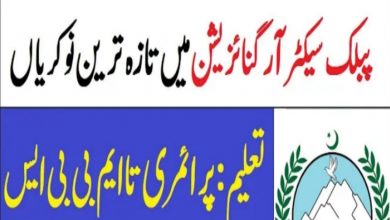 New govt jobs Public Sector Organization