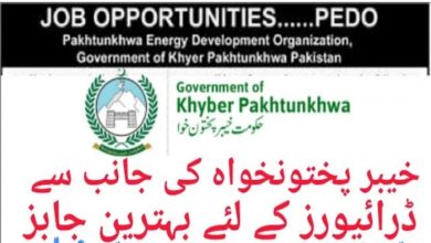 Pakhtunkhwa Energy Development govt job