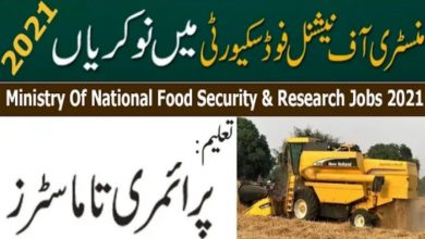 Ministry of National Food Security jobs near Islamabad