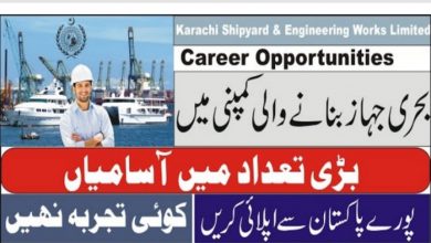 Karachi Shipyard and Engineering Works Limited jobs