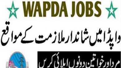 Wapda Jobs 2021 Application Form Download via PTS