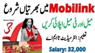 Mobilink Microfinance Bank Jobs 2021 – MMB Internship Program