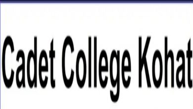 Cantt Public High School & Girls College Kohat Jobs 2021