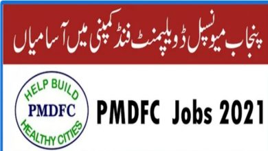 Punjab Municipal Development jobs