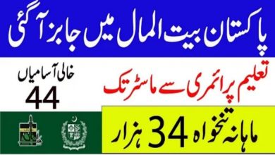 Pakistan Bait ul Mal Naseerabad jobs